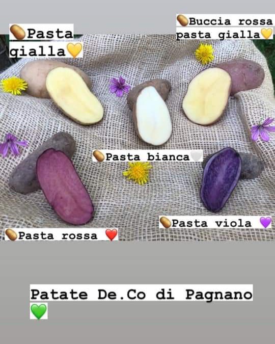 Patata di Pagnano, riconoscimento De. Co. 