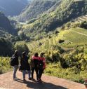 Enogastronomia, la Strada del vino e dei sapori del Trentino forma ambasciatori di eccellenze.