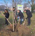 Sostenibilità, PiantiAmo il futuro: 200 alberi a Ferrara con il progetto di Nescafé.