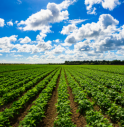 Agricoltura, Farming for Future: su quella biologica bene monito Corte dei Conti europea.