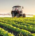 Osservatorio Enpaia-Censis del mondo agricolo, 70% italiani favorevole a lavorare oltre età pensionamento.