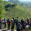 colline del prosecco