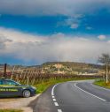 Scoperti 36 lavoratori 'in nero' durante la vendemmia