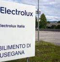 electrolux susegana