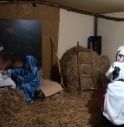 A Cessalto torna il presepe inclusivo