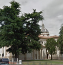 L’albero simbolo del paese sarà tagliato lunedì