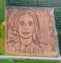 Aratro e trattore, maxi ritratto in landart di Kamala Harris 