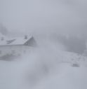 Nevicate sulle Dolomiti venete, 40 centimetri in quota