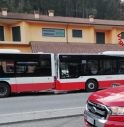 Bus si tamponano, studentessa e autista feriti 