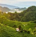 Una settimana in B&B sulle Colline del Prosecco: poi se la svigna senza pagare