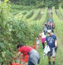 La festa della Vendemmia sulle colline del prosecco