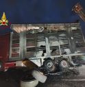 Tir con mucche prende fuoco in autostrada, morti 13 animali 