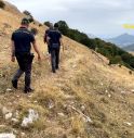 Operazione contro la mafia dei pascoli, 25 arresti 