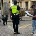 controlli polizia locale treviso