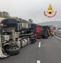 Camion con bestiame si ribalta sulla Statale: animali morti e strada bloccata