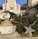 Segato in due l'albero di Natale della piazza