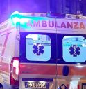 Capriolo attraversa la strada, ferita una motociclista 