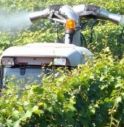 Pesticidi: troppi rischi per il genere umano e per l'ambiente