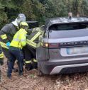 Ancora un incidente con un cervo: una bimba rimane ferita 