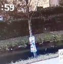 Treviso, lancia sacchi pieni di rifiuti nel canale: incastrato dalle telecamere - Video 