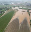 Il maltempo picchia duro anche sull'agricoltura: danni per quattro milioni