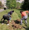 I Ribelli all'Estinzione durante la piantumazione di alberi