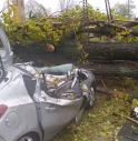 Maltempo, danni in Regione. Albero cade e centra auto, un ferito grave 