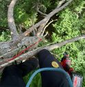 Pieve del Grappa, parapendio rimane sospeso su un albero