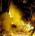 Asiago, incendio boschivo sulle pendici dell’altopiano: in azione Vigili del Fuoco