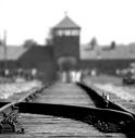 auschwitz