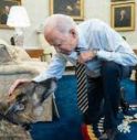 Joe Biden troppo anziano per ricandidarsi alla Casa Bianca