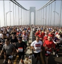 Cancellata la maratona di New York, trevigiani a bocca asciutta