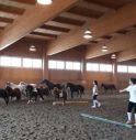 Il cavallo per gli sportivi