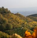 percorso storico naturalistico sulle colline prosecco Unesco