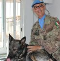 Un veterinario nel paese dei cedri