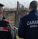 carabinieri del Nucleo Ispettorato del Lavoro