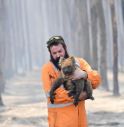 Australia: studio,3 miliardi animali spariti in incendi 2019