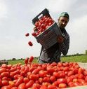 Migranti-agricoltori, apre a Pisa il primo mercato dei profughi della Coldiretti 