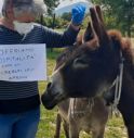 Via libera agli agriturismi per il pernottamento