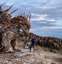 Nasce un Drago dalle foreste distrutte da Vaia