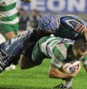 Heineken Cup, i Leoni per Leicester