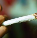 Malta introduce la legge sull'uso ricreativo della cannabis