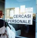 Oltre 5mila offerte di lavoro dalla provincia di Treviso