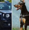 Doberman a Nervesa della Battaglia