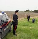 Carabinieri inseguono e sparano a un'auto, i banditi fuggono 