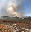 Incendio devastante al Lisert: interventi di emergenza in corso