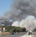 Roma, incendio in pineta a Ostia: traffico in tilt