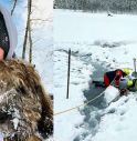 Amanda cercò di salvare il cane dal fiume ghiacciato, i loro corpi ritrovati abbracciati