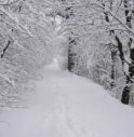 Occhio alla tempesta artica sull'Italia, ecco la neve, ma il meteo migliora nel weekend