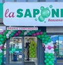 La saponeria